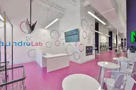 lavanderia y planchaduria cerca de mi tampa