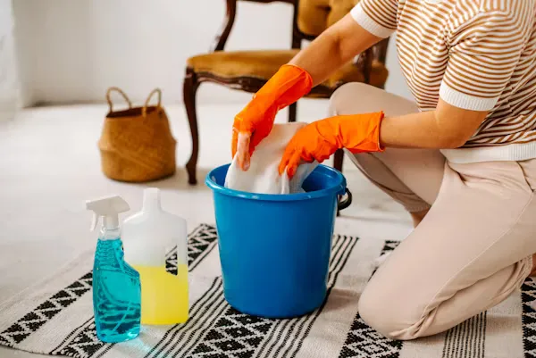 servicios de limpieza a domicilio en american canyo