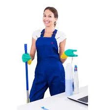 servicios de limpieza de casas concord california