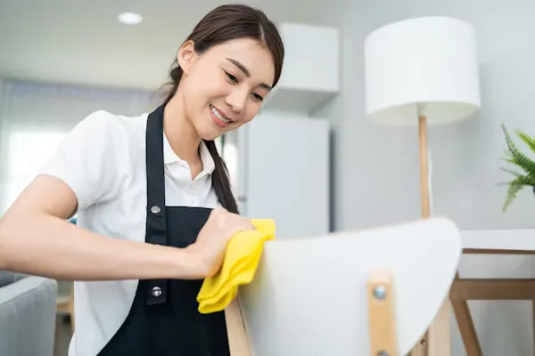 trabajos de limpieza a domicilio en lake elsinore california