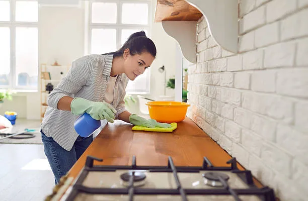 costo de limpieza profesional Ithaca