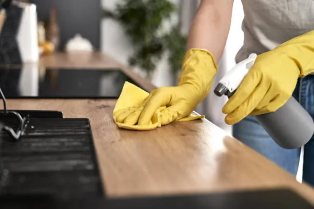 precios de limpieza en Ithaca NY