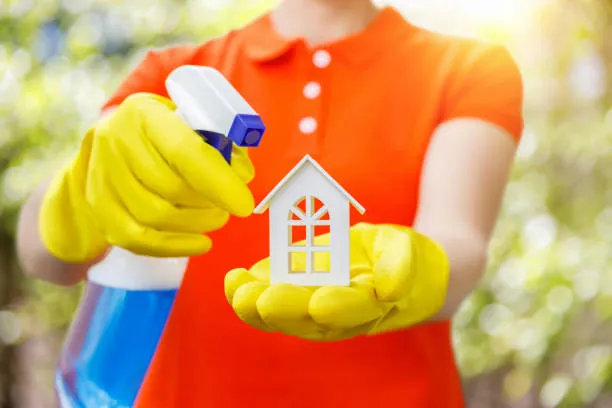 limpieza post construcción Alleghany