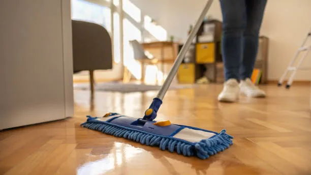 contratar señora de limpieza en Ceres