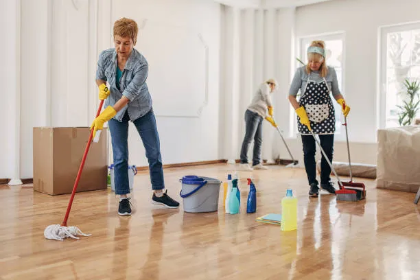 limpieza Hollister WhatsApp